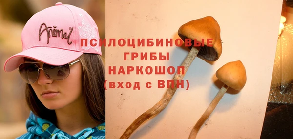 винт Балабаново
