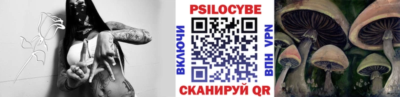 Галлюциногенные грибы мицелий  Салаир 